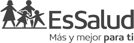 ESSALUD_CIBERSEGURIDAD