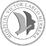 HOSPITALVICTORLARCOHERRERA_CIBERSEGURIDAD